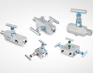 表閥和閥組  Gauge Valves and Instrument Manifolds